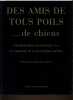 DES AMIS DE TOUS POILS.... DE CHIENS. JEAN YVES CASGHA