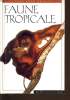 FAUNE TROPICALE. JANE WHITTEN