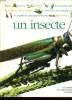 UN INSECTE. LAURENCE MOUND