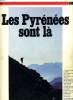 LES PYRENEES SONT LA. J.-F LEMOINE directeur de la publication