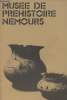 Mus&eacute;e de pr&eacute;histoire Nemours. Collectif