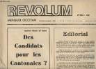 Vida Nostra - Revolum - Mensuel occitan - Genier-febrier 1976 n°31 - Des candidats pour les Cantonales ? - Novèlas de pertot - Indians de totas las ...