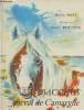 Bacchus cheval de Camargue. Bizet Michel
