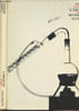 Chimis Seconde CT - Programme du 13 juin 1966. Dreyfus M.