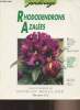 "Rhododendrons Azalées - ""Jardinage"" n°1". Kögel Andrea