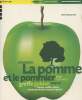 La pomme et le pommier - Plantation, pépin, calvados, greffe, golden, compote. Wasserman Henri