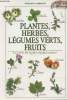 Plantes, herbes, légumes verts, fruits - Les clefs du régime méditerranéen. Lambraki Myrsini