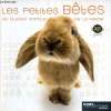 Les petites bêtes et autres animaux de la ferme. Morita Yoneo