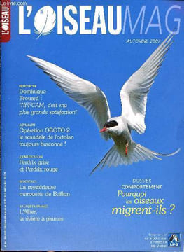 L'oiseau Mag N° 88 Juillet-Août-septembre 2007 Sommaire: l'automne, perdrix rouge et perdrix grise, Allier, la rivière à plumes.... Collectif