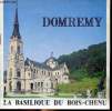 Domremy La basilique du Bois-Chenu. De Pas R.