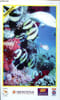 Iberostar brochure sur les sports aquatiques. Collectif