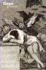 Goya graveur Musée des beaux arts de la ville de Paris. Collectif