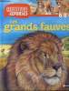 Les grands fauves Questions/réponses 6/8 ans.. Gunzi Christiane