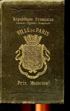 La France à vol d'oiseau au Moyen Age 2è édition. Challamel Augutin