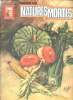 Peindre les natures mortes N°24 Collection Leonardo. Collectif