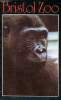 Brochure Bristol zoo. Collectif