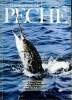 Connaissance de la pêche N°2 Novembre 78 Truite des Pyrénées Sommaire: Le sandre, ses moeurs, ses pêches; 33 ans de pêche du saumon; Les écosystèmes ...