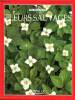 Fleurs Sauvages. Collectif