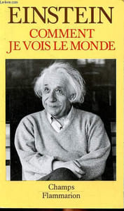 Comment je vois le monde
