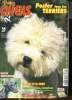 Vos chiens magazine N°126 Novembre 1995 Spécial Greyhound Sommaire: Le Greyhound; Educataion: le jeu, le joie; Expositions: Terriers, Copenhague, ...