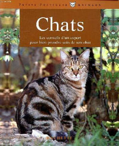 Chats Les conseils d'un expert pour bien prendre soin de son chat