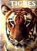 Tigres La fascination d'un regard majestueux. Server Lee