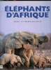 Eléphants d'Afrique. Balfour Daryl et Sharna
