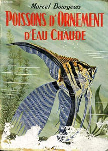 Poissons d'ornement d'eau chaude
