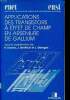 Applications des transistors à effet de champ en arséniure de gallium Collection Technique et scientifique des télécommunications. Soares R. Graffeuil ...