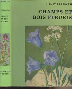 Champs et bois fleuris