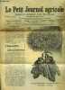 LE PETIT JOURNAL AGRICOLE N° 620 - 12e année - 17 novembre 1907 - Exposition des chrysanthèmes - Défrichement des luzernières - Notre bibliothèque - ...