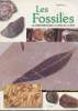 Les fossiles - La préhistoire dans le creux de la main. Parker Steve