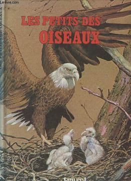 Les petits des oiseaux. Bizet Michel