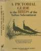 A Pictorial Guide of the Birds of the Indian Subcontinent. Ali Salim & Dillon Ripley S.