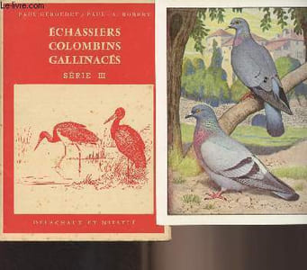 Echassiers colombins gallinacés Série III