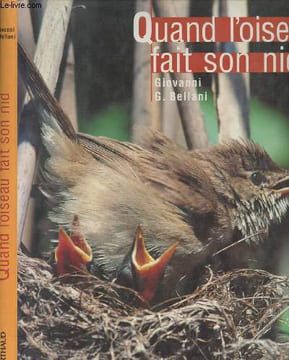 Quand l'oiseau fait son nid. Bellani Giovanni G.