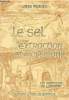 "Le sel, extraction et raffinage - ""Les merveilles de l'industrie""". Figuier Louis