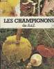 "Les Champignons de A à Z - N°8 - collection ""Je sais faire""". Collectif