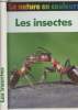 "Les insectes- ""La nature en couleurs""". Reichholf-Riehm Helgard