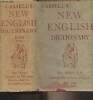 Cassell's New English Dictionary (Fifteenth edition). Cassell