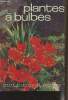 "Plantes à bulbes, à tubercules et à rhizomes - ""Petits Atlas Payot Lausanne"" N°53". De Bronsart H.