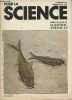 Pour la science - Nov.1978 - n°13 - L'évolution - L'évolution chimique et l'origine de la vie - Les mécanismes de l'évolution - Variabilité génétique ...