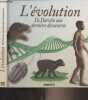 L'évolution, De Darwin aux dernières découvertes. Pin Rémi