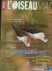 "L'oiseau magazine n°91 Eté 2008 - Conservation. Un dortoir spectaculaire - Pollution. Triste anniversaire - Journée internationale de la Terre. ...