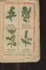 Le médecin des peuples - 1906-1907 édition nouvelle et complète (La médecine par les plantes et les recettes utiles concernant les soins à donner dans ...