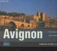 "Avignon - Collection ""Tranches de ville""". Fréchet David
