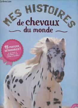 Mes histoires de chevaux du monde - 15 posters détachables et un livre à transformer en carton à dessins. Huet-Gomez Christelle