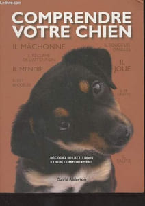 Comprendre votre chien (Décodez ses attitudes et son comportement)