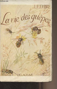 "La vie des guêpes - ""Bibliothèque Juventa"""