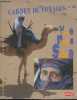 Carnet de voyages n°33 - Voyage nomade au Sahara : Se repérer - Le Niger - Niamey - En route pour Tahoua - Le sultanat de Zinder - Zinder - Sur la ...